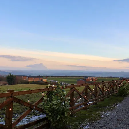 Cherry Blossom * Whitby