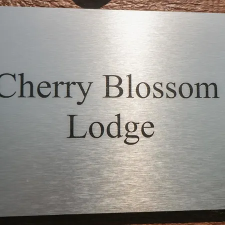 Cherry Blossom 惠特比